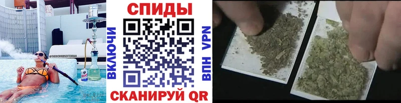 Купить закладки  Алзамай  Бутират 1.4BDO 