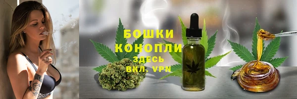 твердый Касимов