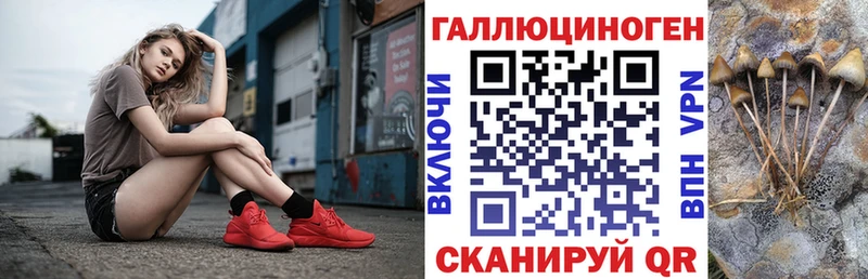 Галлюциногенные грибы мицелий  Купить  Алзамай 